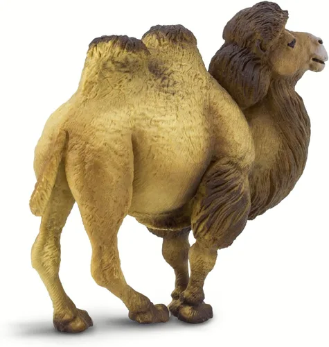 Miniatura 3 de Safari Ltd. Figura de camello bactriano, figura realista de vida silvestre de 4.25 pulgadas, juguete educativo para niños, niñas y niños a partir