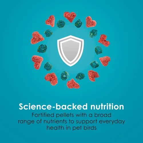Miniatura 7 de Kaytee Forti-Diet Pro Health Canary & Finch Alimento para pájaros para mascotas, 2 libras