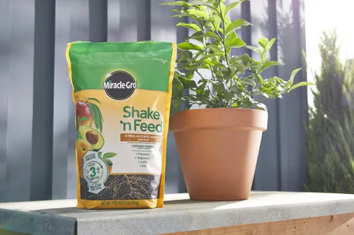 Miniatura 9 de Miracle-Gro 3002810 Shake 'N Feed - Fertilizante de liberación continua para plantas cítricas, aguacate y mango, 8 lbs.