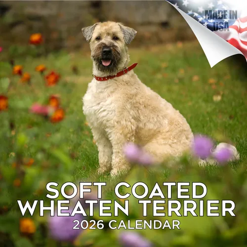 Miniatura 147 de Calendario 2025 2026 de cachorros Cocker Spaniel - Calendario mensual de pared de raza de perro - 12" x 24" abierto - Papel grueso sin sangrado