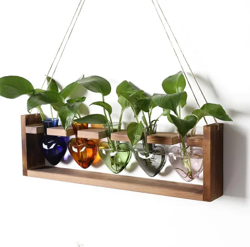 Miniatura 8 de Estaciones de propagación colgantes de terrario para plantas, regalo para mujeres, soporte para plantas de aire con soporte de madera, cristal
