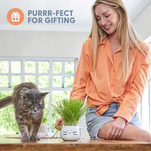 Miniatura 3 de The Cat Ladies Hierba orgánica para gatos de interior - Kit de cultivo con mezcla de semillas orgánicas, tierra y maceta para gatos blancos. Control