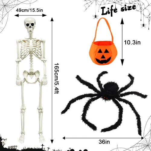 Miniatura 3 de CAMIRUS Esqueleto de Halloween de 5.4 pies/65.0 in, esqueleto de tamaño real con bolsa de calabaza de araña peluda, huesos humanos de cuerpo
