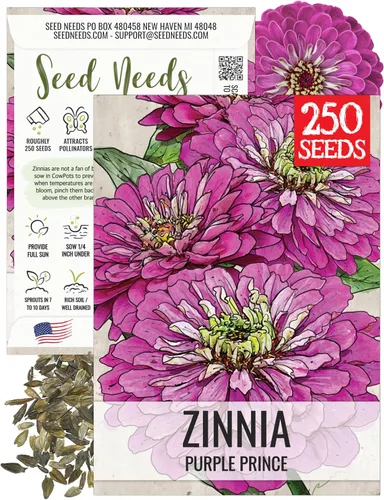 Miniatura 52 de Seed Needs California Giants - Semillas de zinnia – 250 semillas tradicionales para plantar Zinnia elegans – Cultiva flores anuales polinizadas