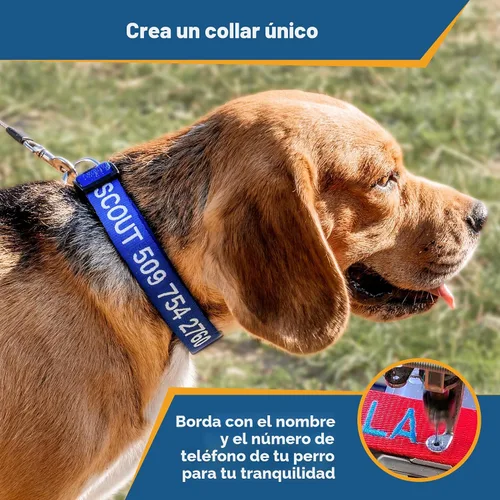 Miniatura 3 de Collar para perros personalizado, collares bordados con nombre de mascota y número de teléfono, azul, negro, rosa, rojo y naranja collares