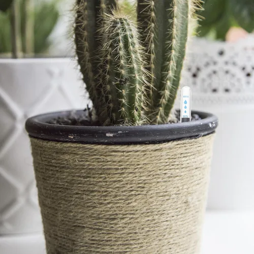 Miniatura 7 de BESTOYARD Indicador de agua para plantas en macetas para uso en interiores y exteriores, medidor de humedad del suelo con escala transparente