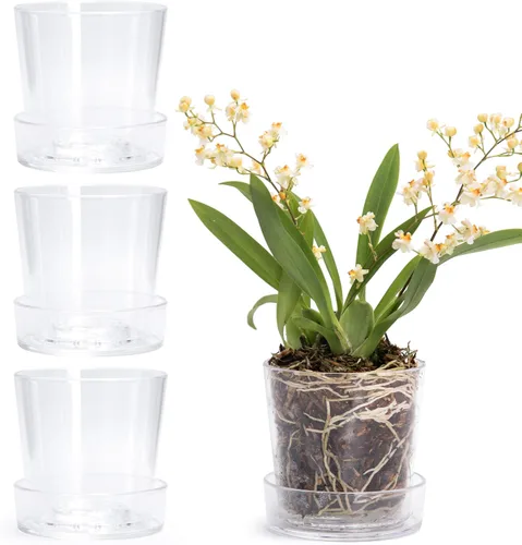 Miniatura 21 de Phoenix Vine Maceta de acrílico transparente de 3.5 pulgadas con bandeja, maceta de orquídeas con agujeros de drenaje, platillo profundo para riego