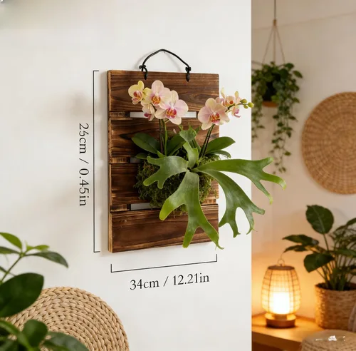 Miniatura 3 de Kit de tablero de montaje para helecho Staghorn Dranvosk, maceta de pared de madera, soporte colgante para plantas verticales, Platycerium
