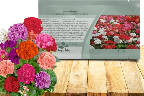 Miniatura 11 de Outsidepride Semillas de geranio bicolor rosa para plantar, 25 piezas anuales, tolerantes al calor y la sequía semillas de flores con follaje verde