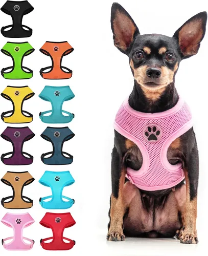 Miniatura 25 de BINGPET Arnés para perro sin tirones, arnés de chaleco tipo step-in de malla para todo clima para perros pequeños, arnés de malla transpirable
