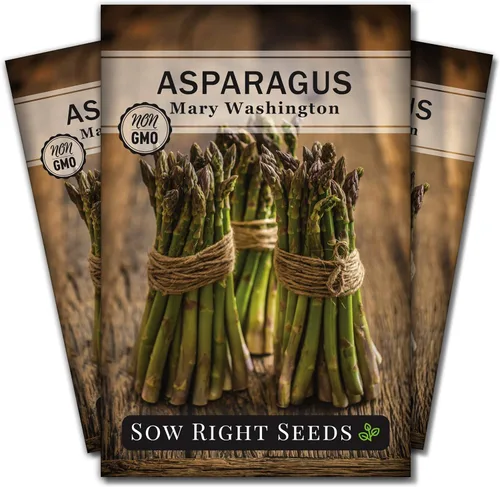 Miniatura 9 de Sow Right Seeds - Semilla de espárragos Mary Washington para plantar - Paquete de reliquia sin OMG con instrucciones para plantar un huerto