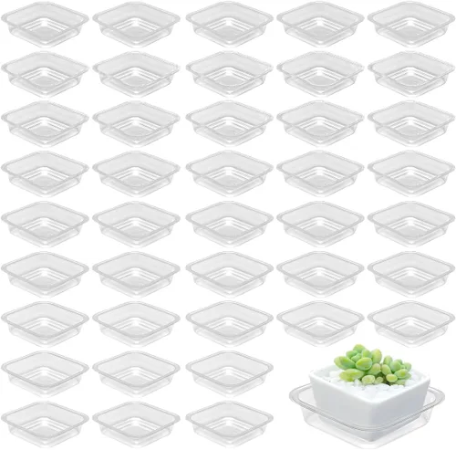 Miniatura 14 de Paquete de 30 platillos de plantas para interiores, bandejas de plantas de 4 pulgadas para macetas, bandejas de plástico para plantas, bandejas