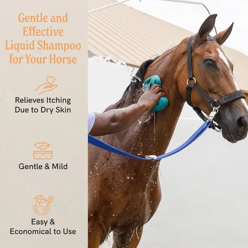 Miniatura 3 de J·R·LIGGETT'S Champú líquido de caballo botánico para pieles sensibles Fórmula de champú biodegradable hipoalergénico para caballos 100%