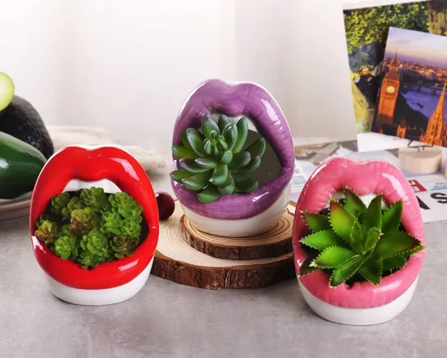 Miniatura 5 de WHJY Maceta de labios atractivos, maceta suculenta de cerámica - rosa