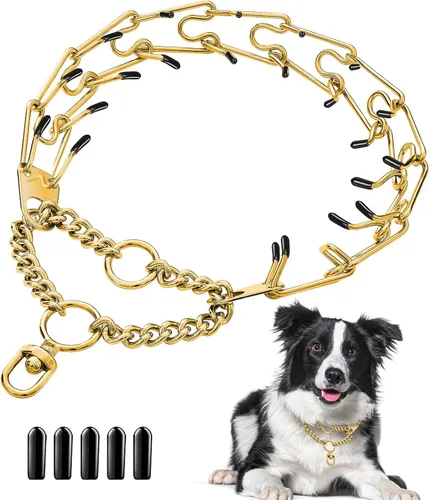 Collar para perro de acero inoxidable, con punta dorada, collar de cadena de metal de acero inoxidable, collar de cadena de metal de acero