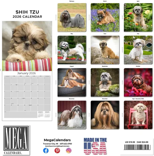 Miniatura 3 de Razas de Perros 2017 Shih Tzu