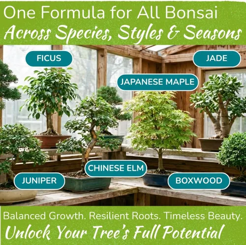 Miniatura 5 de Alimento para árbol bonsái Fertilizante líquido suave de primera calidad para un crecimiento saludable, tallos fuertes y hermosas floraciones