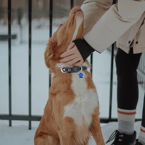 Miniatura 2 de LINMAGCO Collar reflectante personalizado para perro con campanas, estilo de cuero suave, resistente y ajustable, con placa de identificación Azul