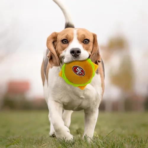 Miniatura 3 de NFL SAN Francisco 49ERS - Juguete chirriante de hamburguesa de queso para perros y gatos, juguete de peluche para perros y gatos con chirriador