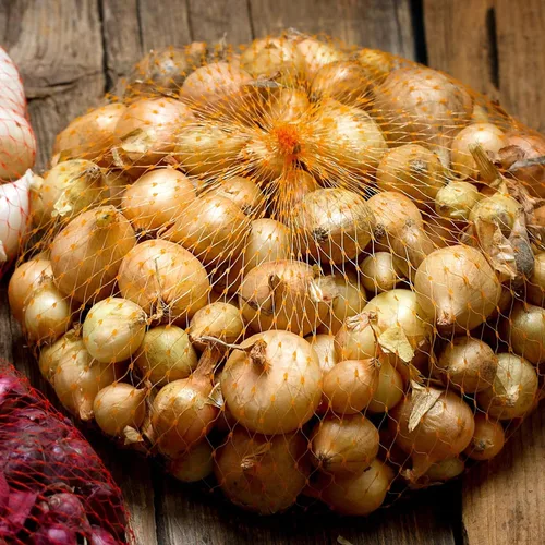 Miniatura 3 de Semillas de cebolla para plantar, juego de bulbos de cebolla amarilla de 1 libra, bulbos de reliquia