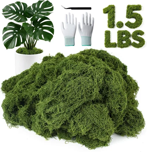Miniatura 18 de MGLIFEUL Musgo artificial artificial de 1.125 libras para manualidades, plantas de interior con guantes antiadherentes y pinzas, musgo artificial