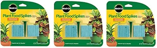 Miracle-GRO Alimento para plantas de interior, 48 picos (paquete de 3 (48 unidades)