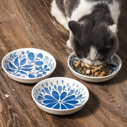 Miniatura 5 de 3 cuencos de cerámica para gatos, 5.5 pulgadas de ancho poco profundo para aliviar la fatiga de los bigotes