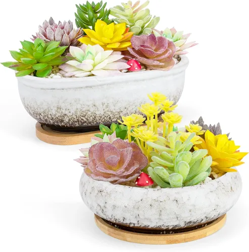 Miniatura 10 de Macetas para suculentas, 1 maceta rectangular + 1 maceta de cerámica para bonsái con bandeja de drenaje, paquete de 2 macetas grandes y poco