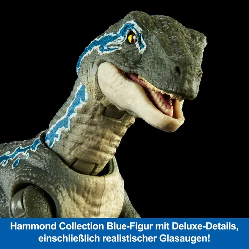 Miniatura 2 de Mattel Jurassic World Hammond Collection - Figura de acción de dinosaurio, velociraptor 'azul' dinosaurio juguete con articulación
