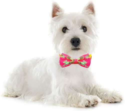 Miniatura 3 de azuza Collar de perro con pajarita, collar de perro suave y cómodo con lazo, patrones divertidos y color brillante para perros pequeños D#Fruta-Piña