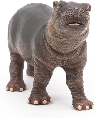 Miniatura 5 de Papo - Figura realista de hipopótamo bebé - A partir de 3 años - Colección Wild Life - Juego educativo de animales jóvenes - Juguete de idea