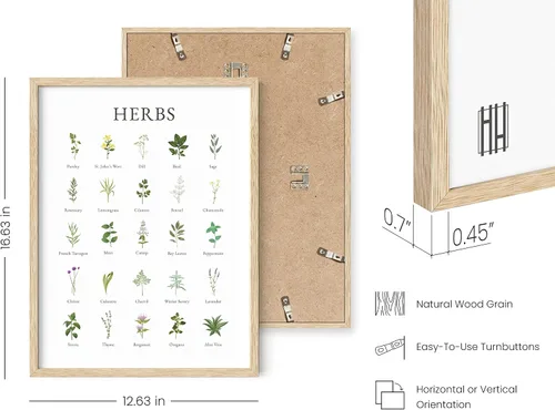 Miniatura 3 de HAUS AND HUES Imágenes de hierbas para arte de pared de cocina, impresiones botánicas, arte de hierbas, hierbas de cocina y arte de cocina, Marco