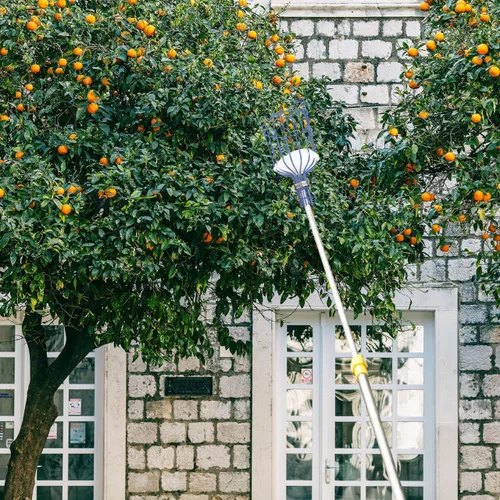Miniatura 4 de 1 herramienta multifuncional para cosechadora de frutas ligera con diseño desmontable para Apple eficiente para trabajadores de huertos