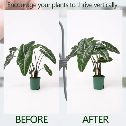 Miniatura 3 de Yohsnor Monstera - Gancho de soporte para plantas, 4.1 x 4.1 pulgadas, 5 unidades, sistema de soporte de tallo ajustable duradero, protección suave