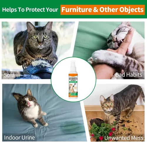 Miniatura 5 de Spray disuasorio para gatos para interiores y exteriores, paquete de 2 – Repelente natural para evitar arañazos y marcas de orina en muebles, sofás
