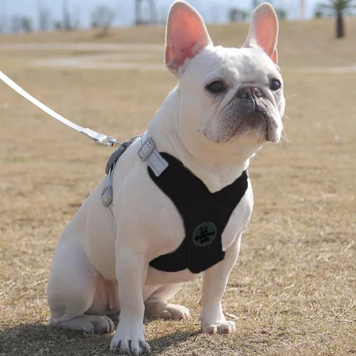 Miniatura 6 de FEimaX Arnés para perro con marco en X para mascotas, sin tirones, juego de correa, ajustable, reflectante, sin estrangulamiento, para cachorros