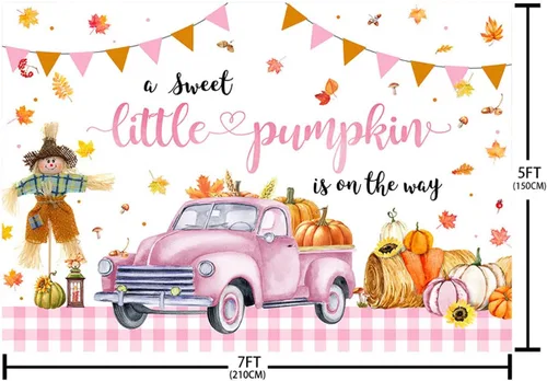Miniatura 5 de AIBIIN Telón de fondo de calabaza para baby shower de 7 x 5 pies para niñas, otoño y otoño, decoración de fiesta de baby shower, coche rosa
