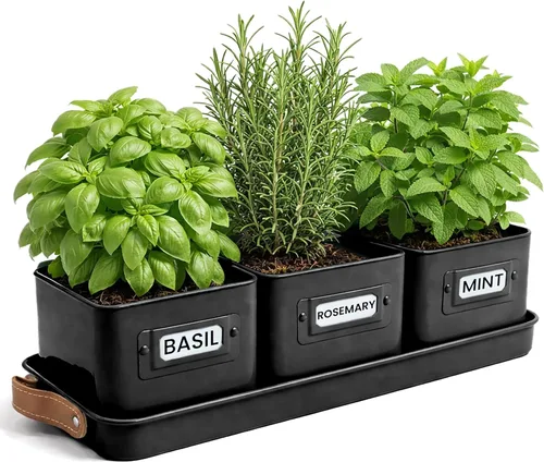 volila - Juego de 3 macetas para hierbas de interior, color negro, con bandeja con asa de cuero - Estante de plantas para alféizar de ventana -