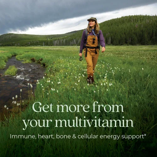 Miniatura 2 de New Chapter Multivitamínico 55+, astaxantina, B6, B12, D3, vitamina C y zinc, inmune, corazón, energía celular y apoyo óseo, suave para el estómago