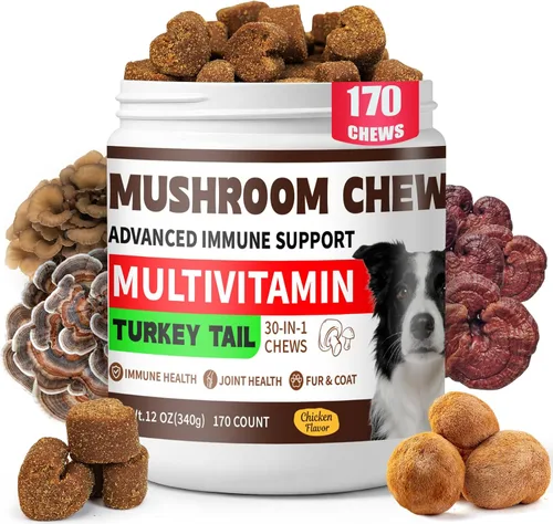 Hongo de cola de pavo para perros, apoyo inmunológico, 170 masticables orgánicos masticables de hongos para perros bultos y protuberancias, potente