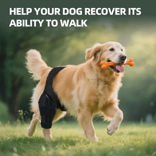 Miniatura 4 de Rodillera para perro para pierna trasera desgarrada del ACL, soporte ajustable para cadera de perro para pierna trasera con estabilizadores