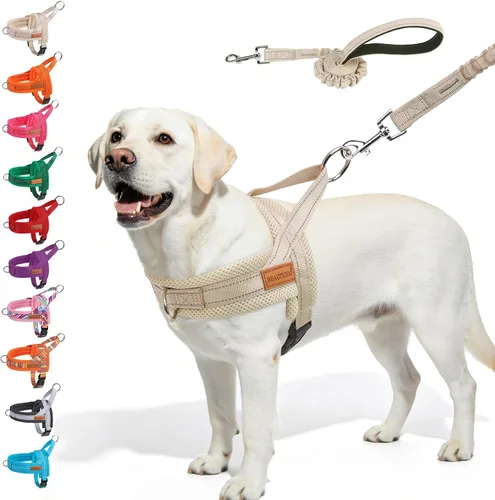 Miniatura 31 de BEAUTYZOO Arnés para Perros Pequeños, Juego de Arnés y Correa sin Tirones, Arnés de Chaleco para Cachorros Suave a Prueba de Escapes con Manija