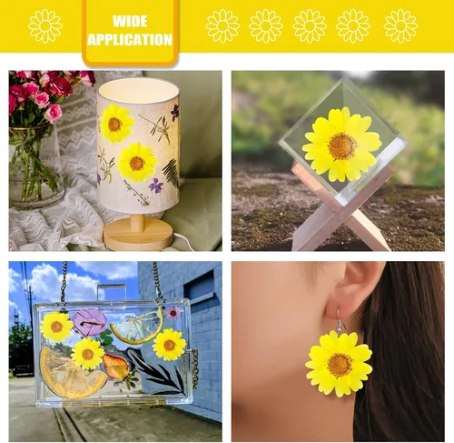 Miniatura 4 de 60 girasoles secos prensados amarillos para adornos de manualidades, flores secas naturales de 1.2 pulgadas, margarita grande para joyería