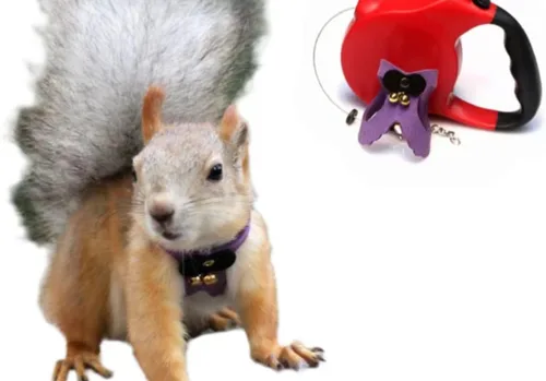Correa de cuerda de tracción de ardilla, cuerda de cadena antimordeduras, arnés para caminar pequeños animales con correa extensible para hámster,