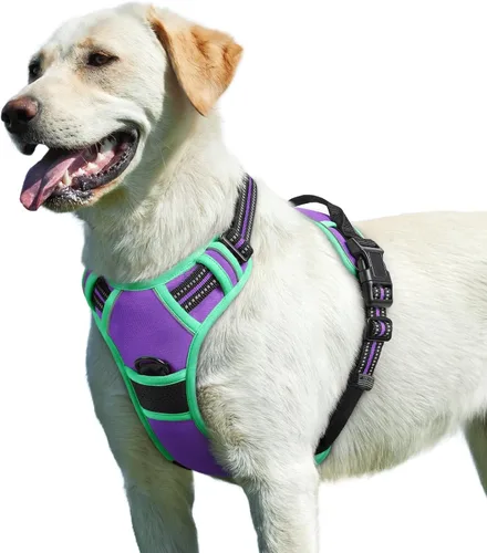Miniatura 52 de Eagloo Arnés para perro pequeño, sin tirones, chaleco de servicio con tiras reflectantes y asa de control, ajustable y cómodo para caminar, arnés