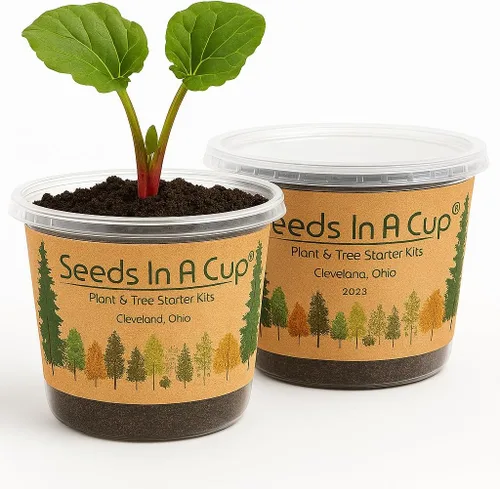 Miniatura 10 de Kit de cultivo de plantas – Más de 60 variedades de verduras, hierbas y flores Iniciador de semillas para interiores y exteriores para niños