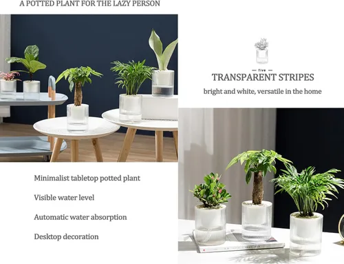 Miniatura 4 de Macetas de riego automático de 7 pulgadas, caja transparente de riego automático para plantas de interior, flores, exteriores, alféizar de ventana