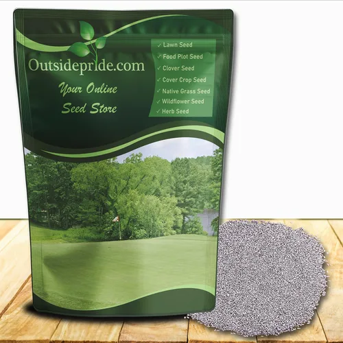 Outsidepride Yukon - Semillas de césped bermudas – 1 libra tolerante al frío y alto tráfico, semillas de césped híbrido prémium para césped, césped