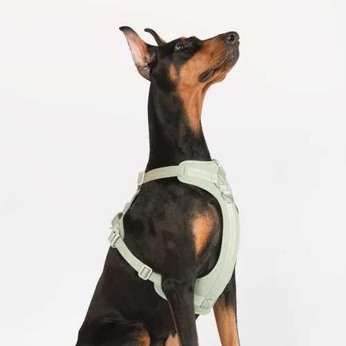 Miniatura 8 de Arnés reflectante para perro para todo tipo de clima, sin tirones, con código QR, antipérdida, ajustable, de liberación rápida, arnés acolchado