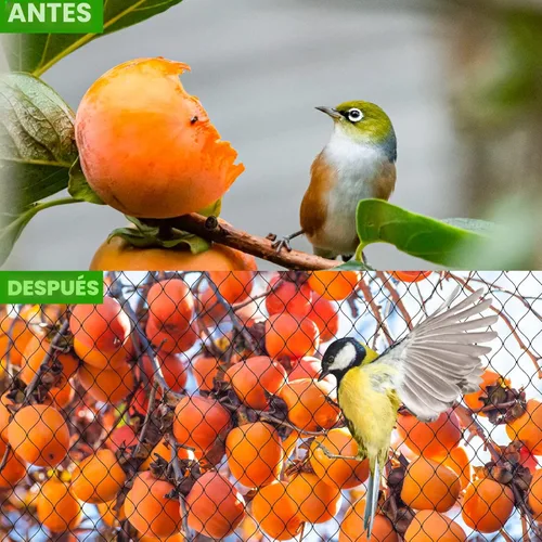 Miniatura 6 de Red para aves para gallinero - 50x50 pies de malla para aves de corral sobre corral de gallinas y corral para pollos, malla de jardín resistente